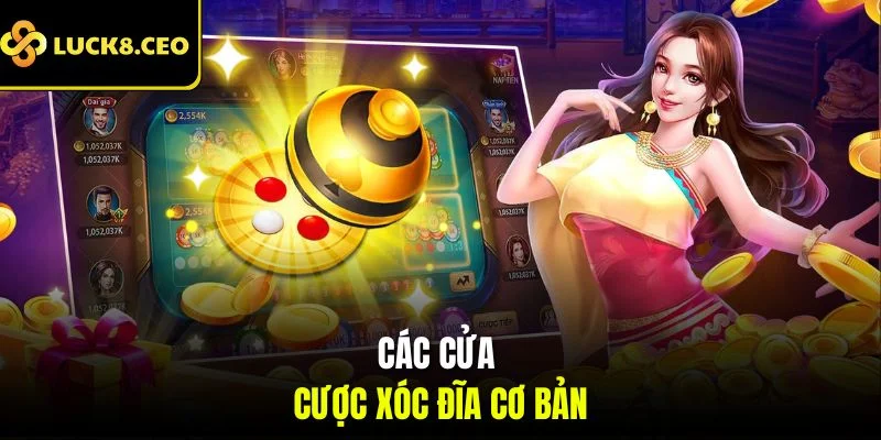 Các cửa cược xóc đĩa cơ bản