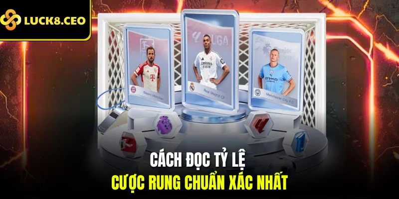 Cách đọc tỷ lệ cược rung chuẩn xác nhất
