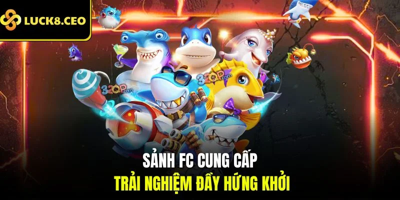Sảnh FC cung cấp trải nghiệm đầy hứng khởi